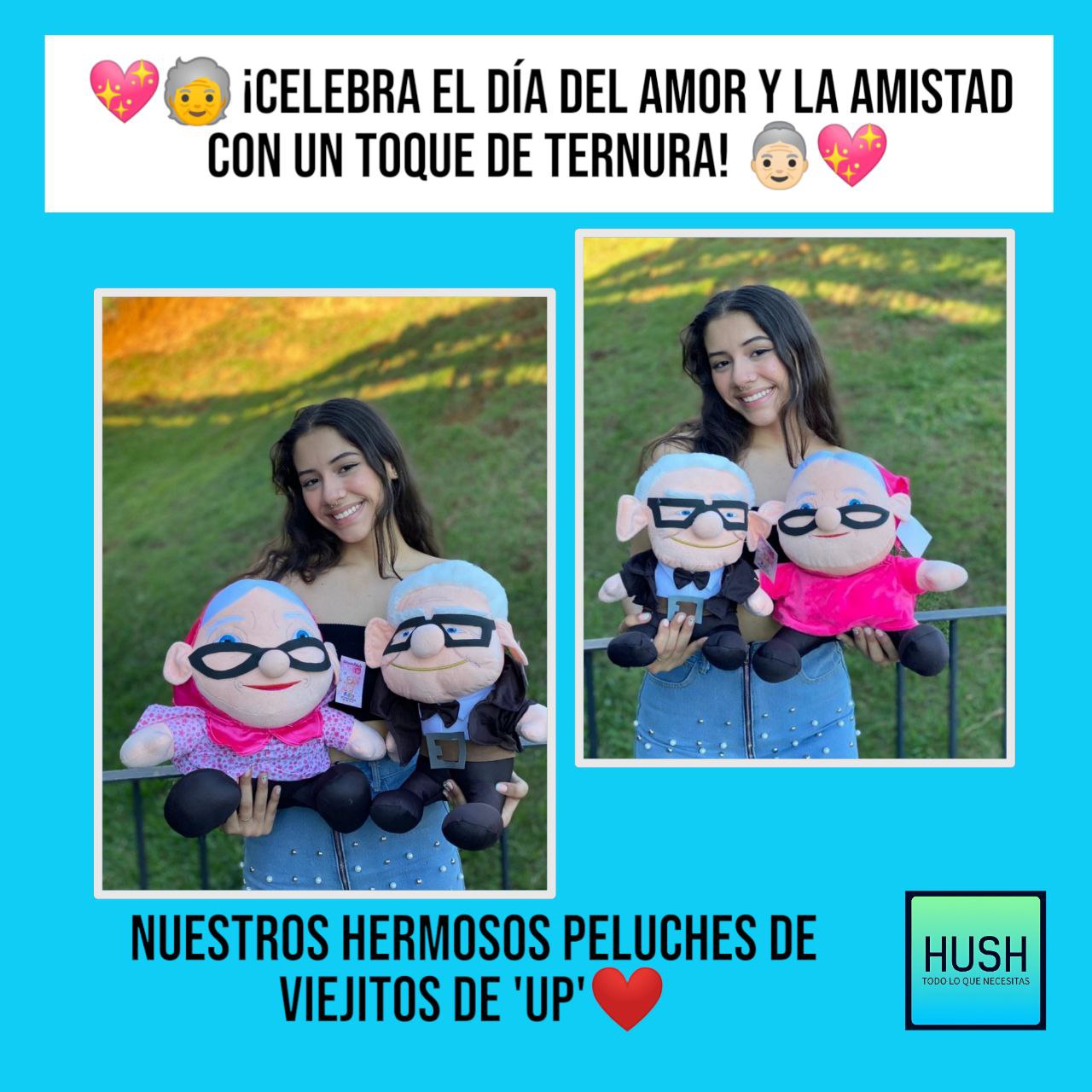 Peluches de la película de 'Up' 💖🧓